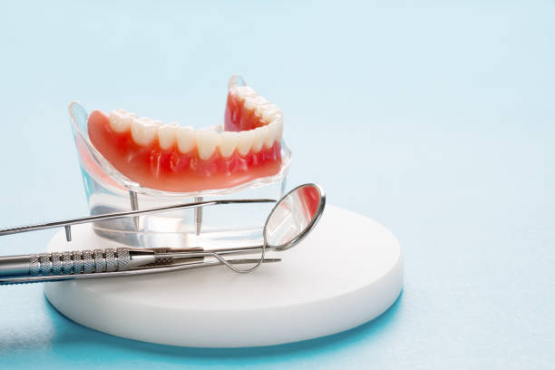 Best Traditional Braces  in Vienna, IL